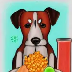 Healthy Dog Diet – What Ingredients Are Safe For Your Dog?
