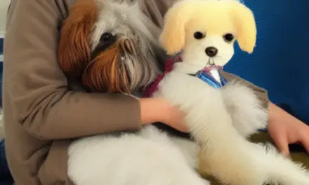 Toy Dogs Are Not Lap Dogs