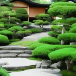 Important Features of Japanese Landscape Design