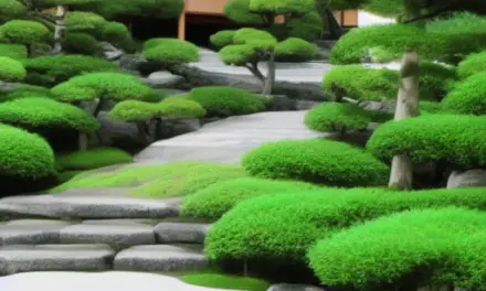 Important Features of Japanese Landscape Design