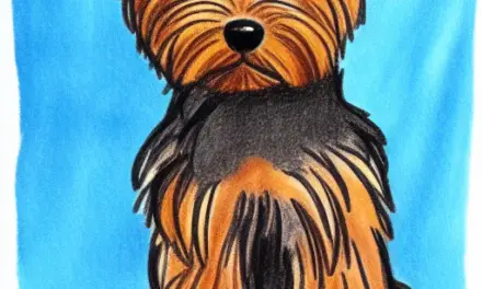 How to Spot a Good Yorkie for Sale