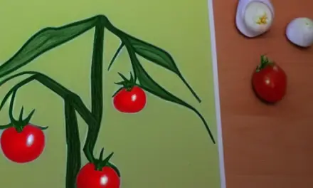 How to Grow a Cherry Tomato Plant