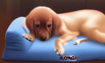 Kong Chew Proof Dog Bed – Pros and Cons