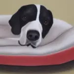 Therapeutic Dog Beds