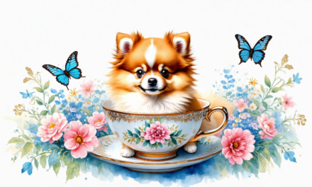 Finding Your Perfect Teacup Pomeranian for Sale: What to Know About Pricing and Where to Buy