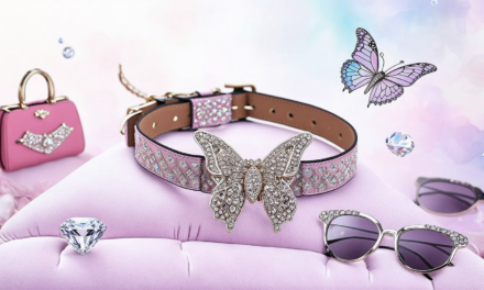 Designer Dog Collars: Discover the Best Brands, Luxury Options, and Expert Recommendations for Your Furry Fashionista