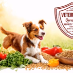 The Truth About Fromm Dog Food: Is It Recommended by Vets, Why the Recall, and What to Know Before Buying?