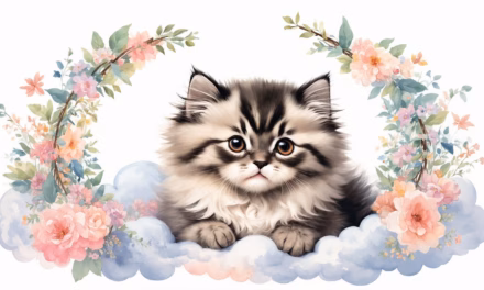 The Ultimate Guide to Himalayan Kittens: Prices, Lifespan, and What Makes Them Unique Compared to Ragdolls
