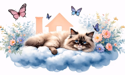 Essential Insights for Ragdoll Adoption: Finding Your Perfect Companion and Local Resources