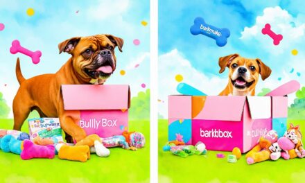 Bullymake Box vs. BarkBox: Which Subscription Delivers the Best Value for Your Dog?