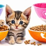 Choosing the Best Nutrition: Is Purina Pro Plan Kitten Food the Healthy Choice for Your Feline Friend?