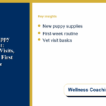 First-Time Puppy Care Checklist: Supplies, Vet Visits, Training, and First Week at Home